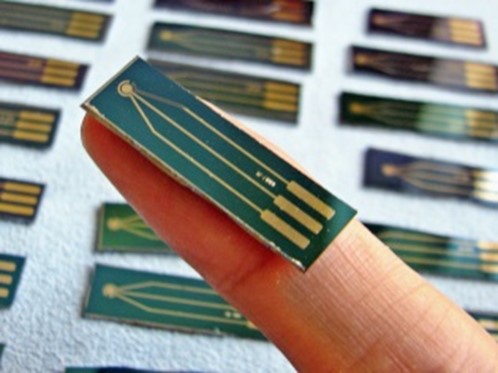 Department Of Tropical Biochemistry And Environment