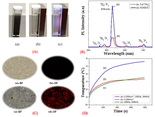 Laboratory of Photochemistry, Imaging and Photonics
