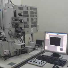 Field Emission Scanning Electron Microscope